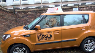 Fake Driving Schoolhatalmas cickós csoki csaj istenien szexel