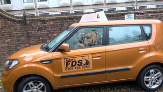 Fake Driving School a csattogó kannás Nikki Dream
